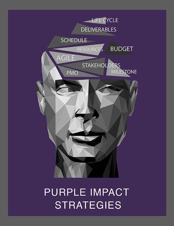 Purple Impact Strategies